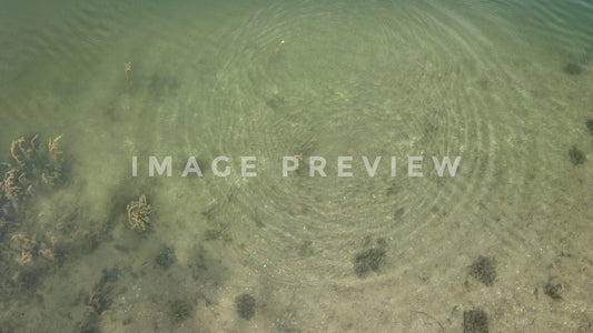 stock photo ripples in lake water hemlock lake ny