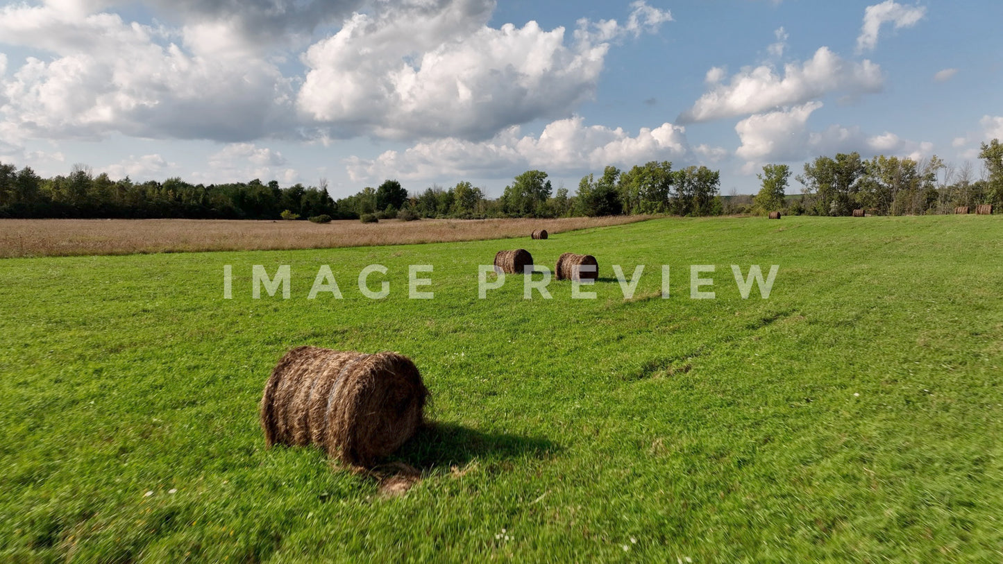 stock photo green field with hay bales