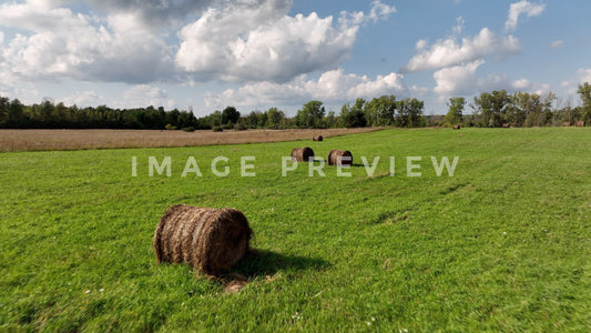 stock photo green field with hay bales
