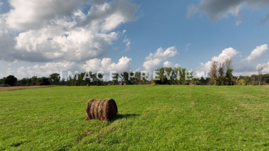 stock photo hay bale in green field
