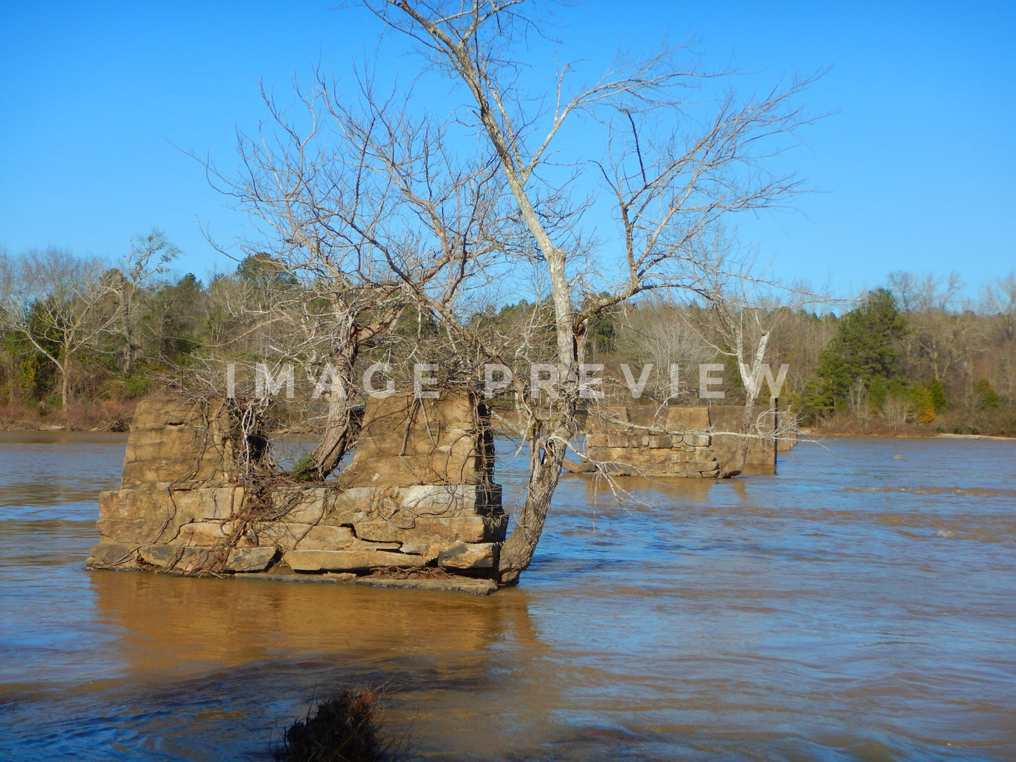 Photo - Stone supports of old bridge crossing Flint River in Georgia