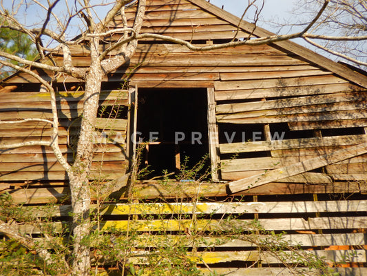 Photo - Old wooden house of abandoned homestead