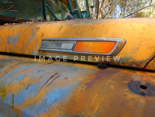 Photo - Logo on hood of old school bus