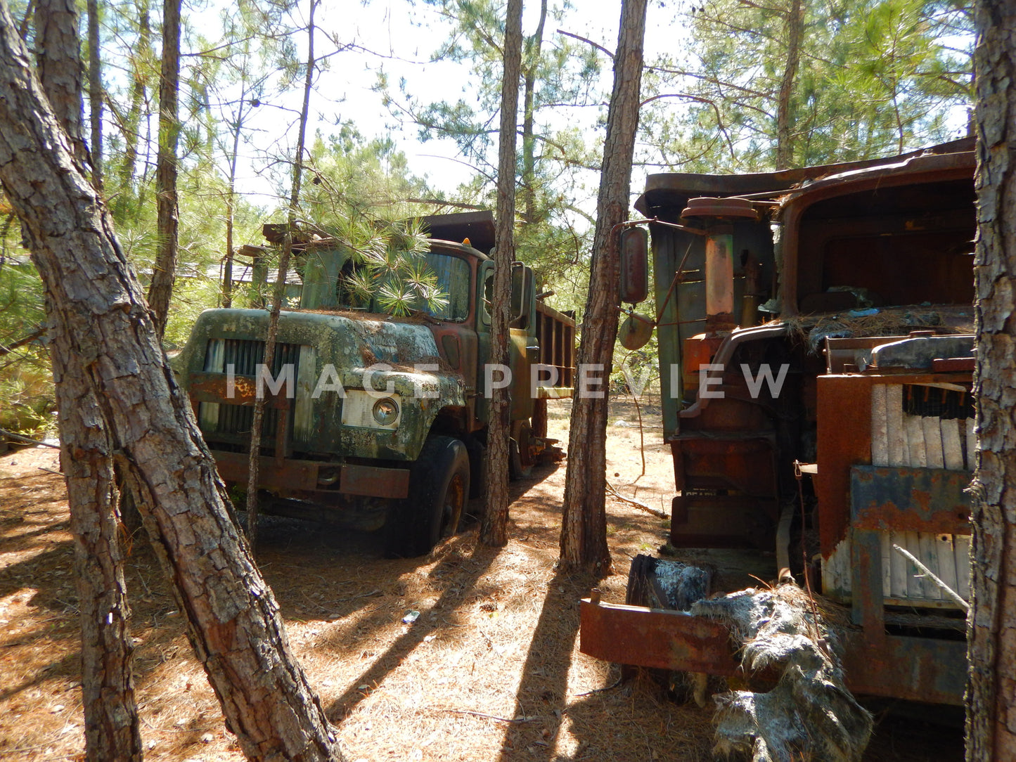 Photo - Old abandoned dump trucks from sand mining operation