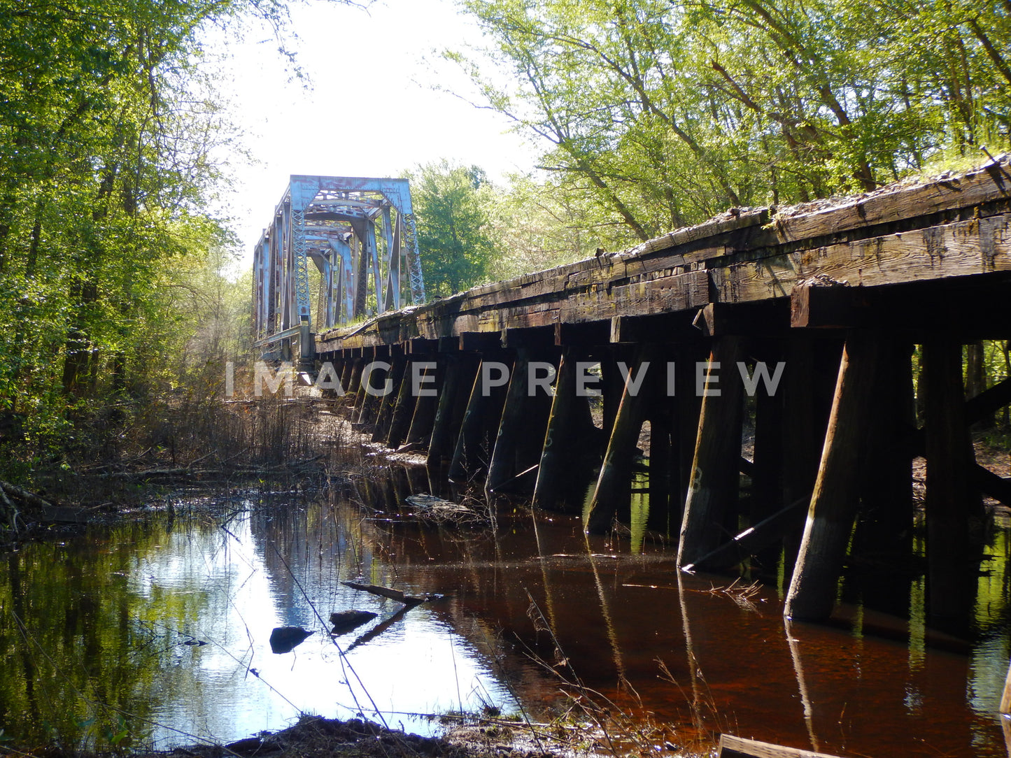 Photo - Railroad train bridge extends across low land southern swamp