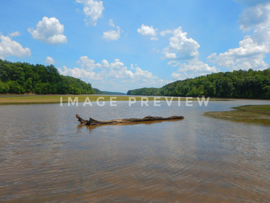 Photo - Low water level on lake during drought