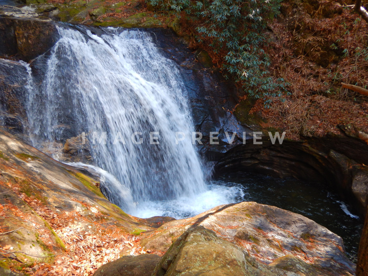 Photo - Waterfall in wilderness area