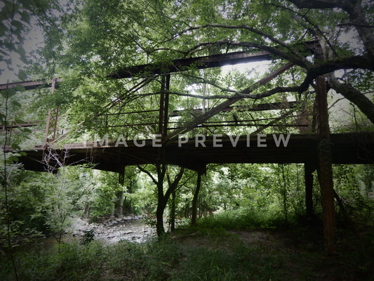 Photo - Abandoned road bridge in forest