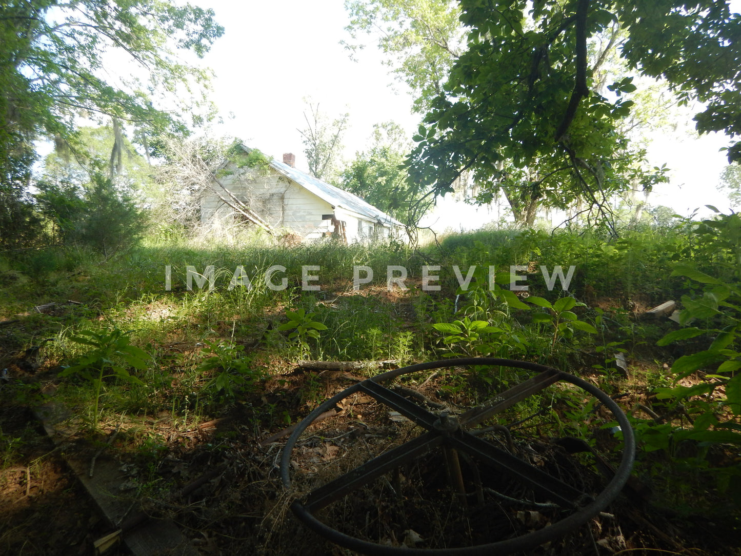 Photo - Countryside home in deep South