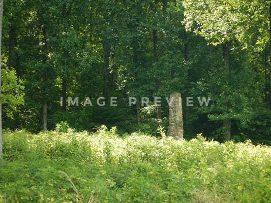 Photo - Brick chimney ruin from old homestead in forest