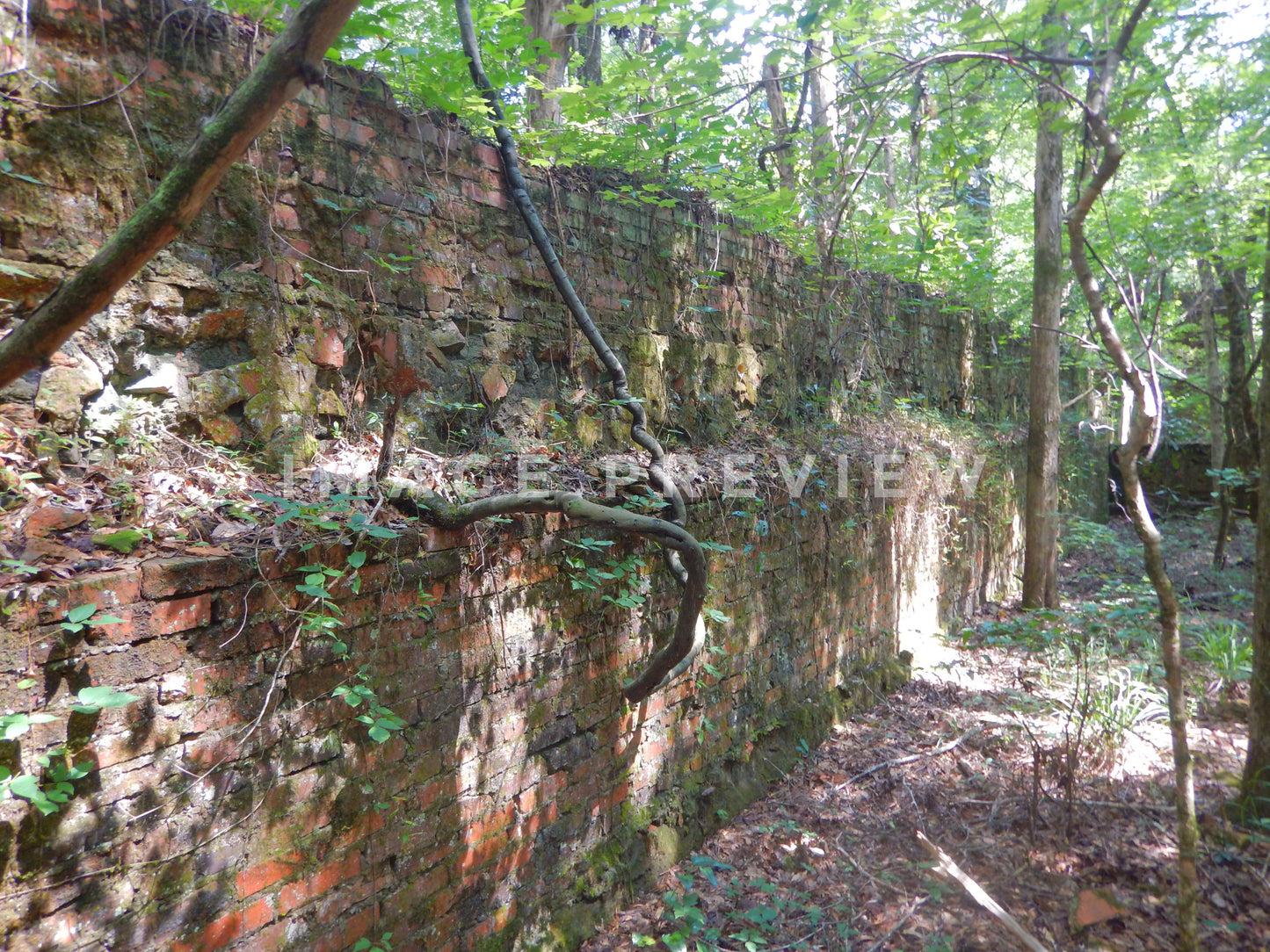Photo - Brick wall of Grist Mill ruin in Columbia, Alabama