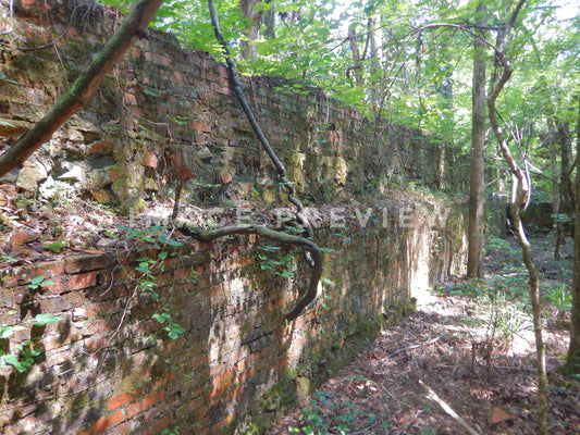 Photo - Brick wall of Grist Mill ruin in Columbia, Alabama