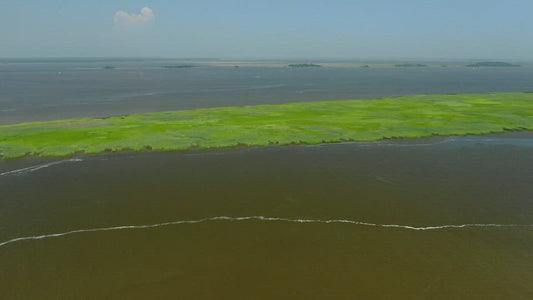 Video - Vacation trip on Sailboat outside on coastal waters in Winyah Bay at Georgetown South Carolina