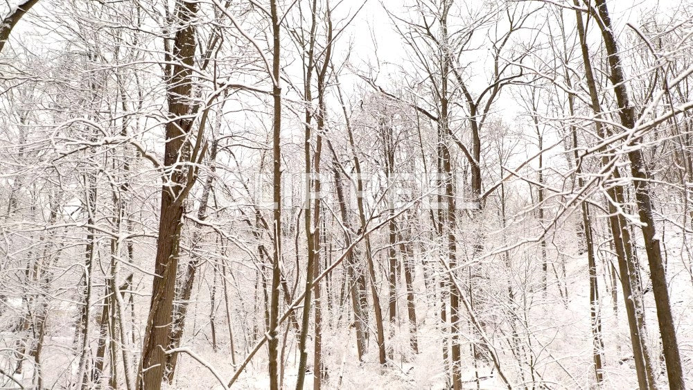 WINTER - trees, horse farm, fields, houses