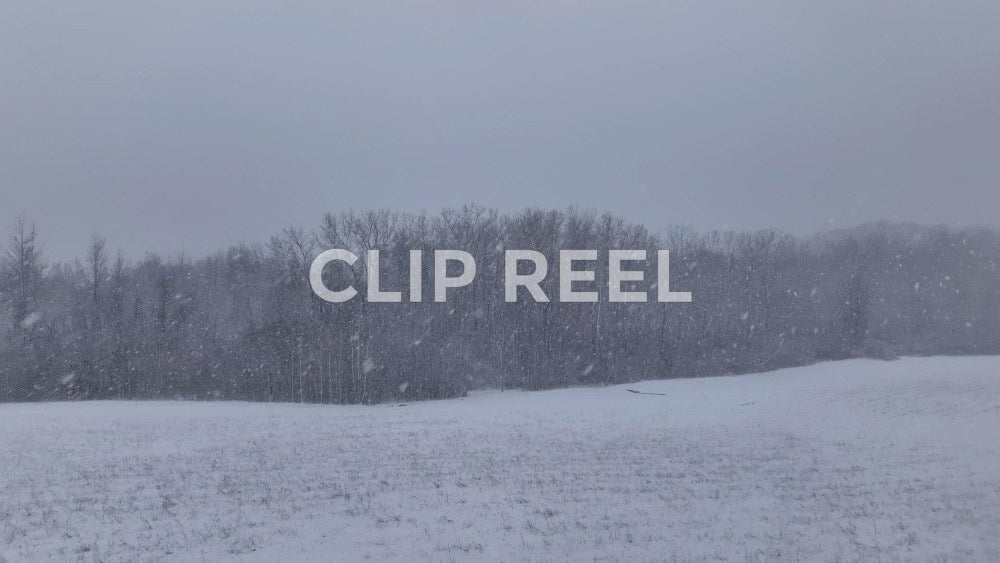 WINTER - snowfall, frozen tree orchard, hay bales