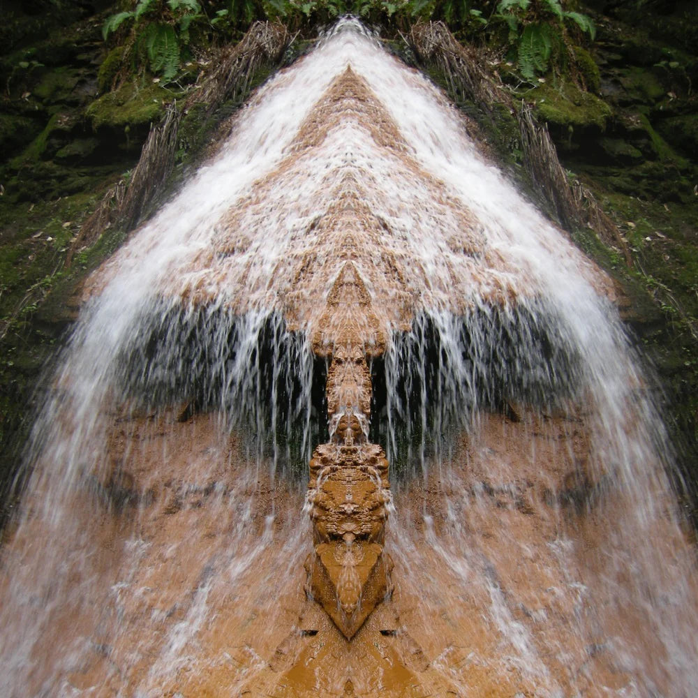 Nature's Mirror Image