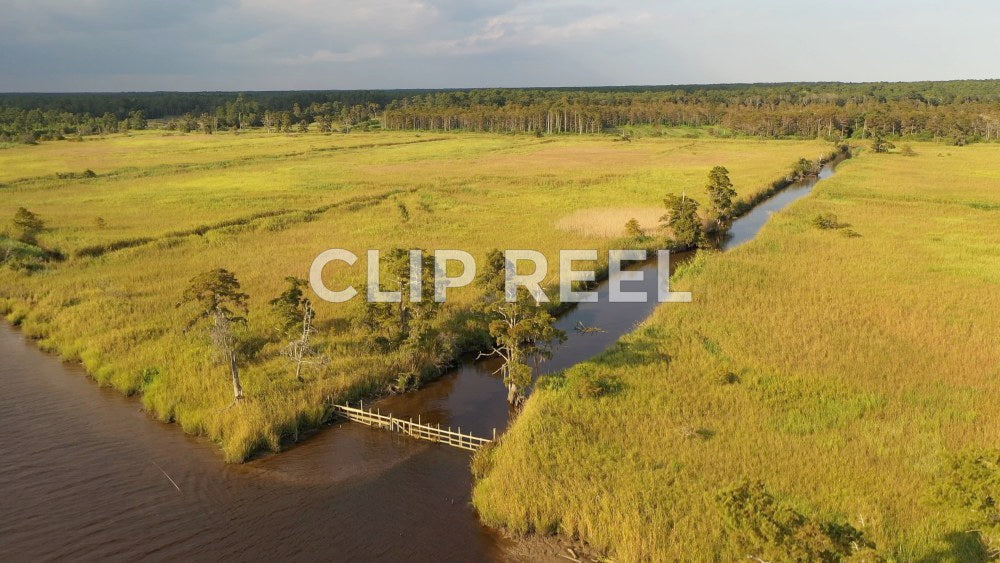 South Carolina Ricefields - White House Plantation