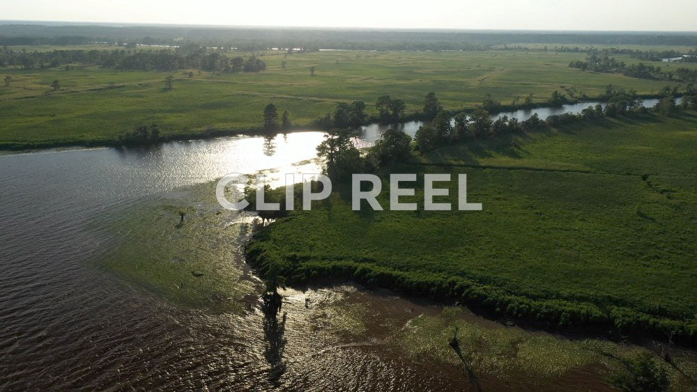 South Carolina Ricefields - Waccamaw River