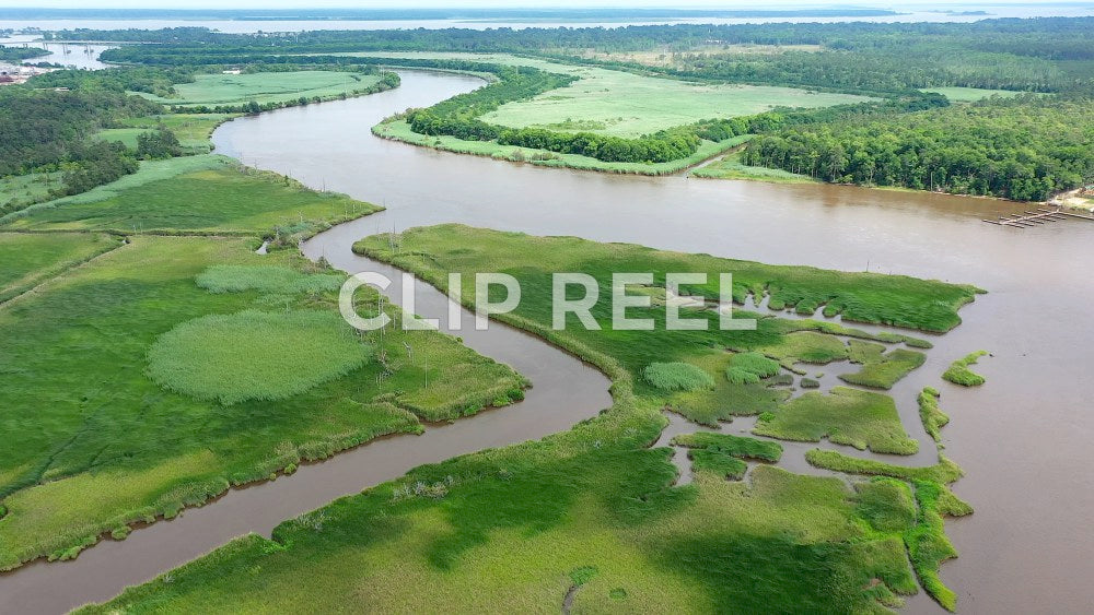 South Carolina Ricefields - Sampit River