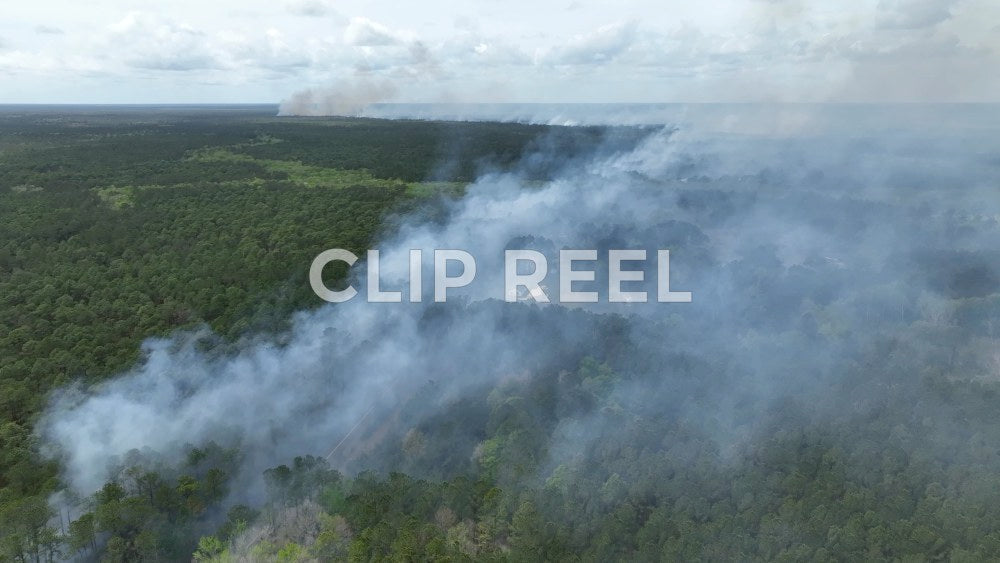Controlled burn, SC