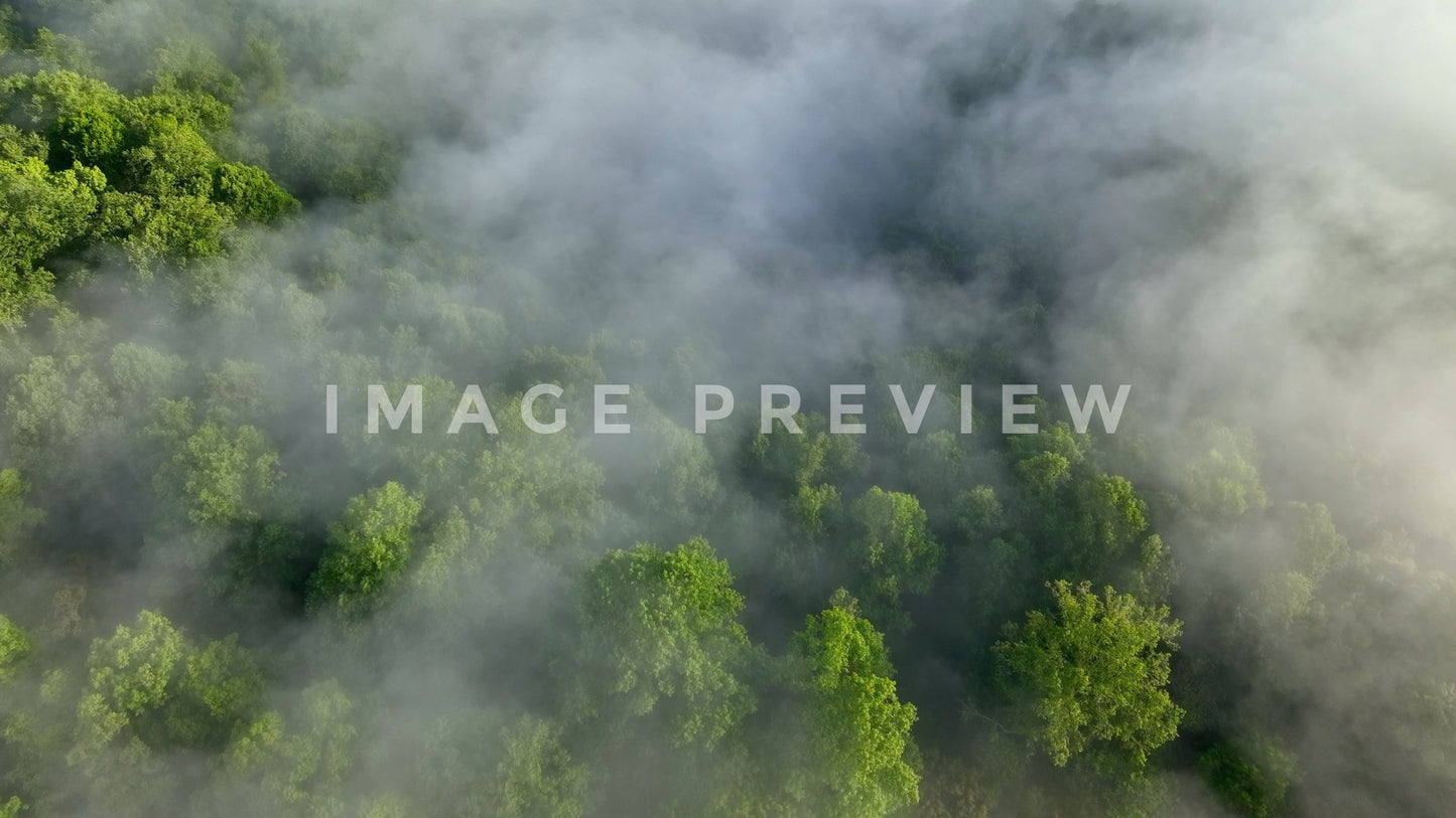 stock photo morning fog over tennessee mountains