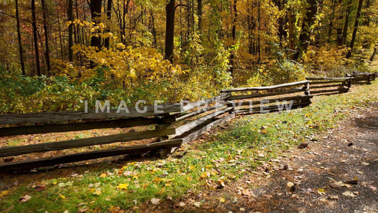 4k Still Frame - Old wooden fence by country road in forest in Fall colors