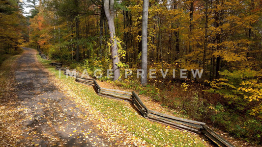 4k Still Frame - Country road in forest during Fall season with old wooden fence