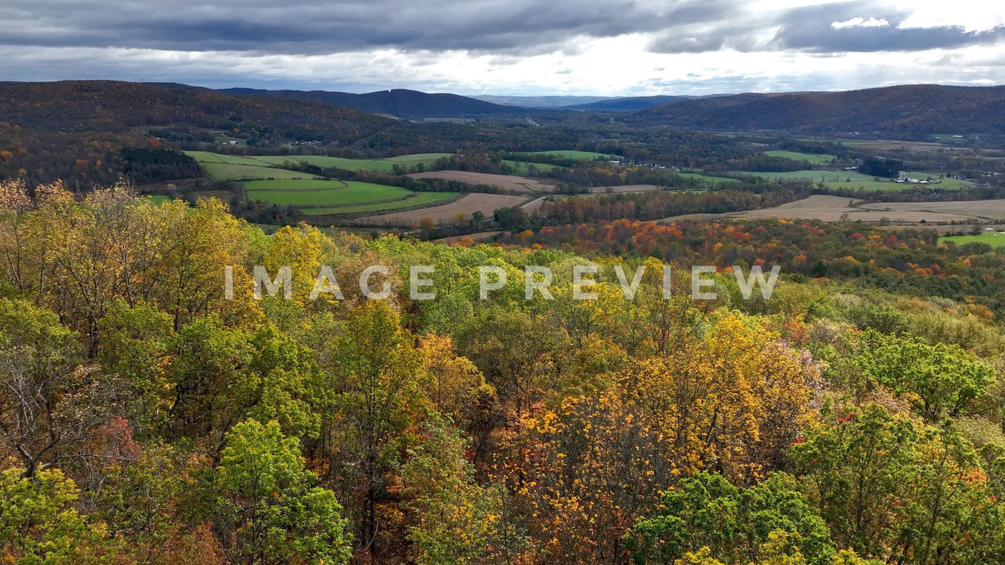 4k Still Frame - Landscape in Fall colors with trees and green pastures