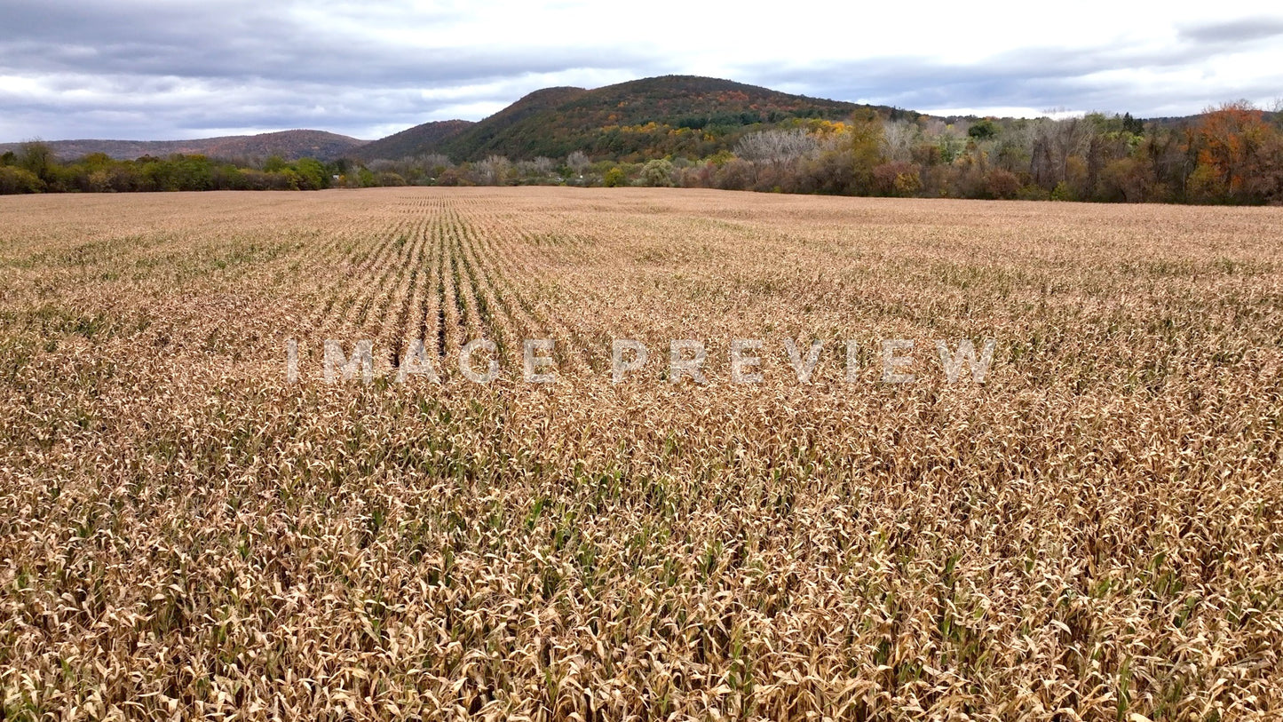 4k Still Frame - Countryside with farmland and mountains