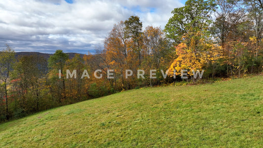 4k Still Frame - Hillside in Fall season colors