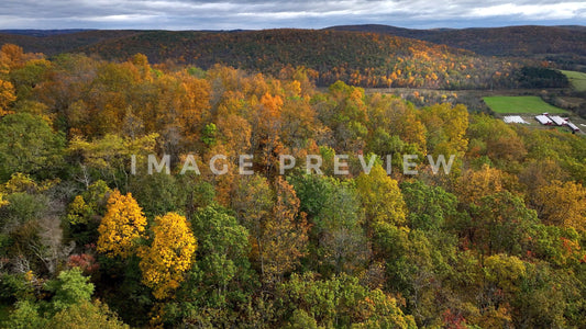 4k Still Frame - Fall season color in trees on mountain with valley below