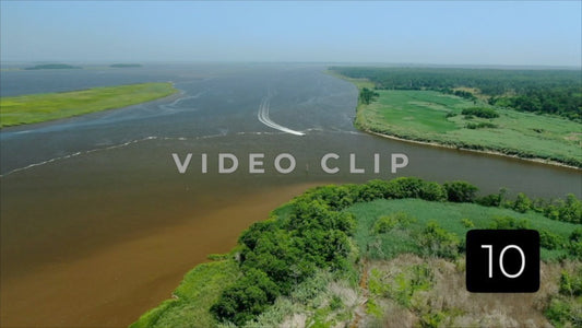 CLIP 10 - South Carolina Ricefields Vol 4. - Estherville Plantation