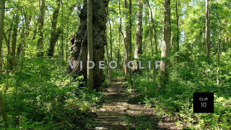 CLIP 10 - Erie Canal Vol. 5