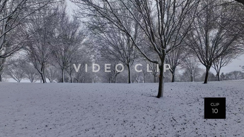 CLIP 10 - Slow flight up snow covered hillside with tree orchard in Winter