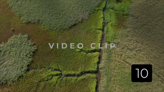 CLIP 10 - South Carolina Ricefields Vol 2. - Pee Dee Waccamaw Confluence