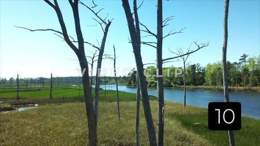 CLIP 10 - South Carolina Ricefields Vol 6. - Sampit River