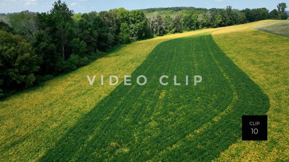 stock video farmers field