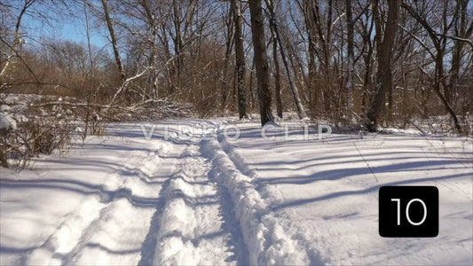 CLIP 10 - Winter Vol. 5 - Snow mobile trail in forest