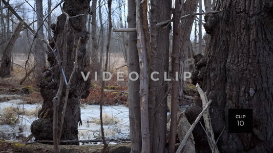 CLIP 10 - Erie Canal Vol. 4