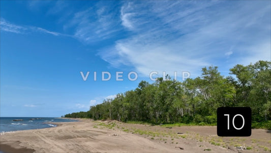CLIP 10 -  Erie, PA Presque Isle State Park looking up from sandy beach towards blue sky and clouds