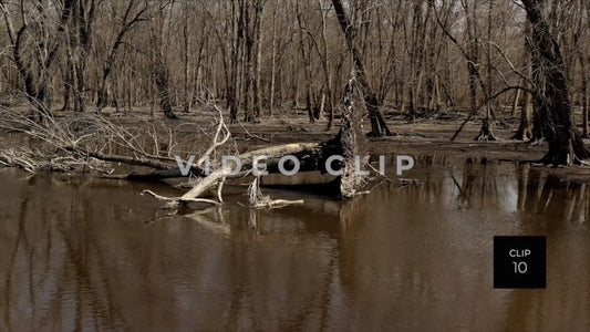 CLIP 10 - Erie Canal Vol. 8 - Montezuma