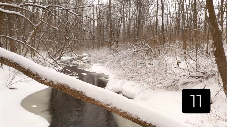 CLIP 11 - Winter Vol. 4 - Fallen tree over creek during Winter with snow