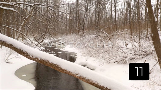 CLIP 11 - Winter Vol. 4 - Fallen tree over creek during Winter with snow