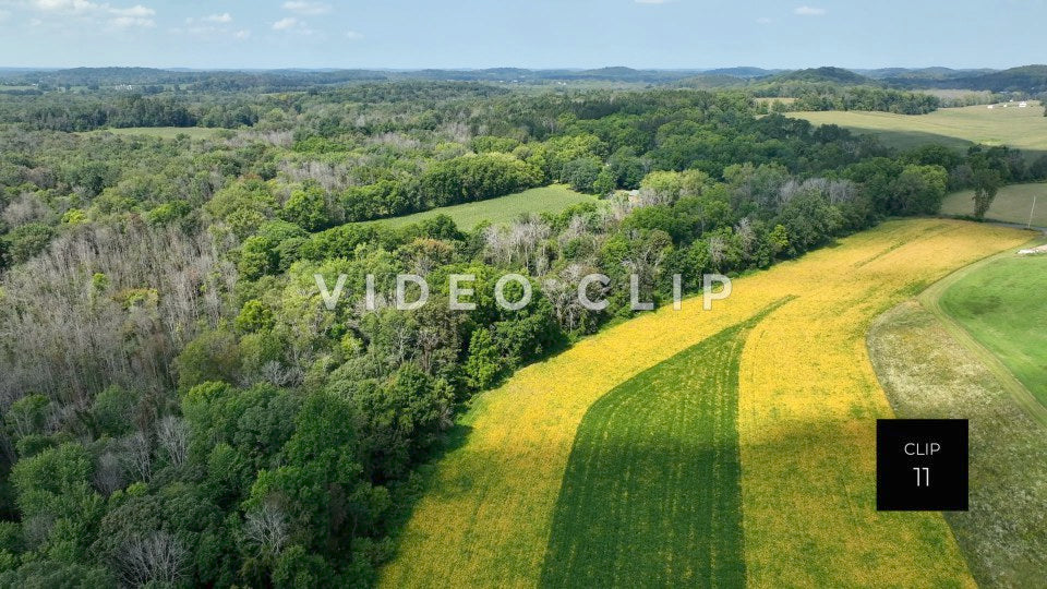 stock video green landscape