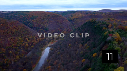 CLIP 11 - Pennsylvania Grand Canyon slowly rising above treetops