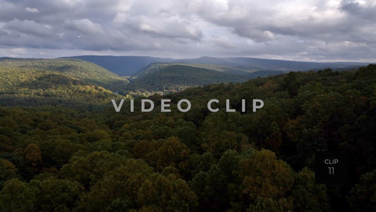 CLIP 11 - Ohiopyle, PA treetop flying then rising above countryside