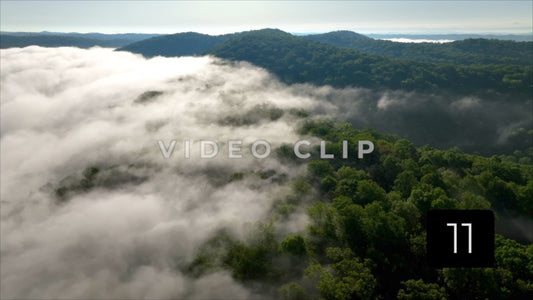 CLIP 11 - Thick blanket of fog moves over Tennessee mountains in early morning sunlight