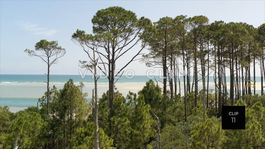 CLIP 11 - Beautiful Beach