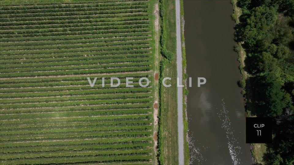 CLIP 11 - Erie Canal Vol. 2