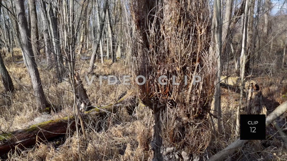 CLIP 12 - Erie Canal Vol. 4